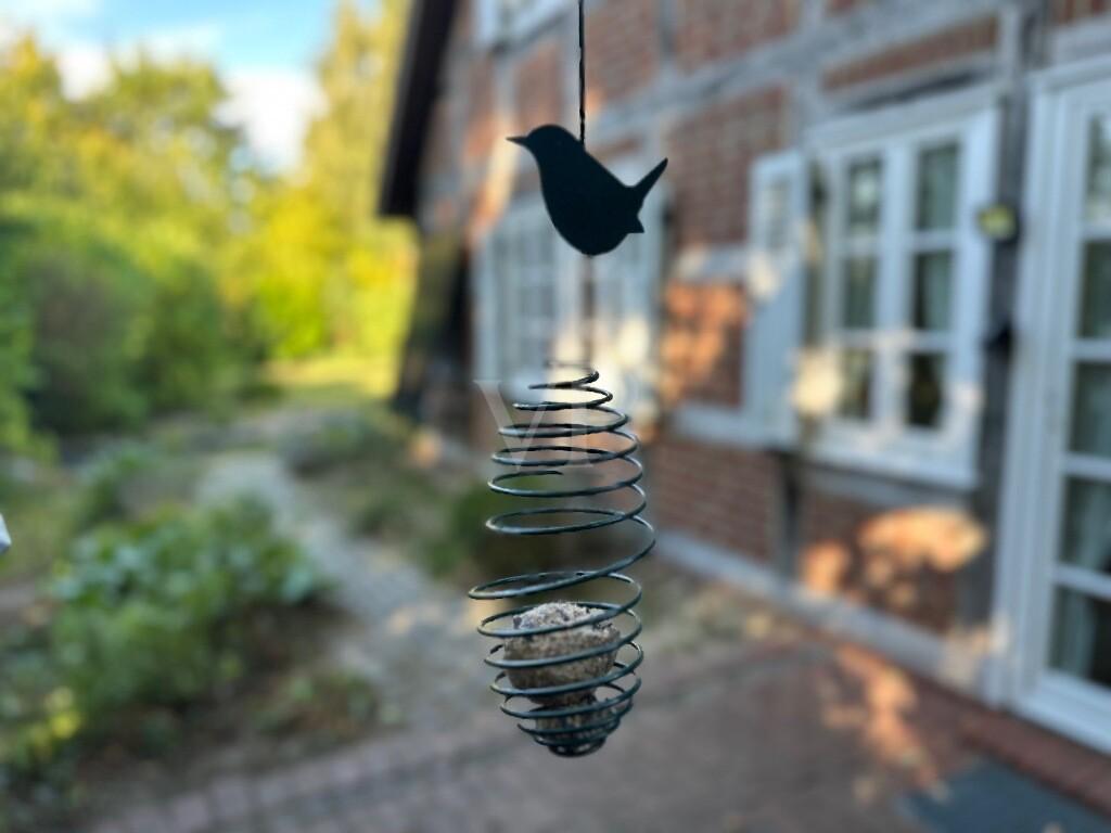 Image Bild Garten