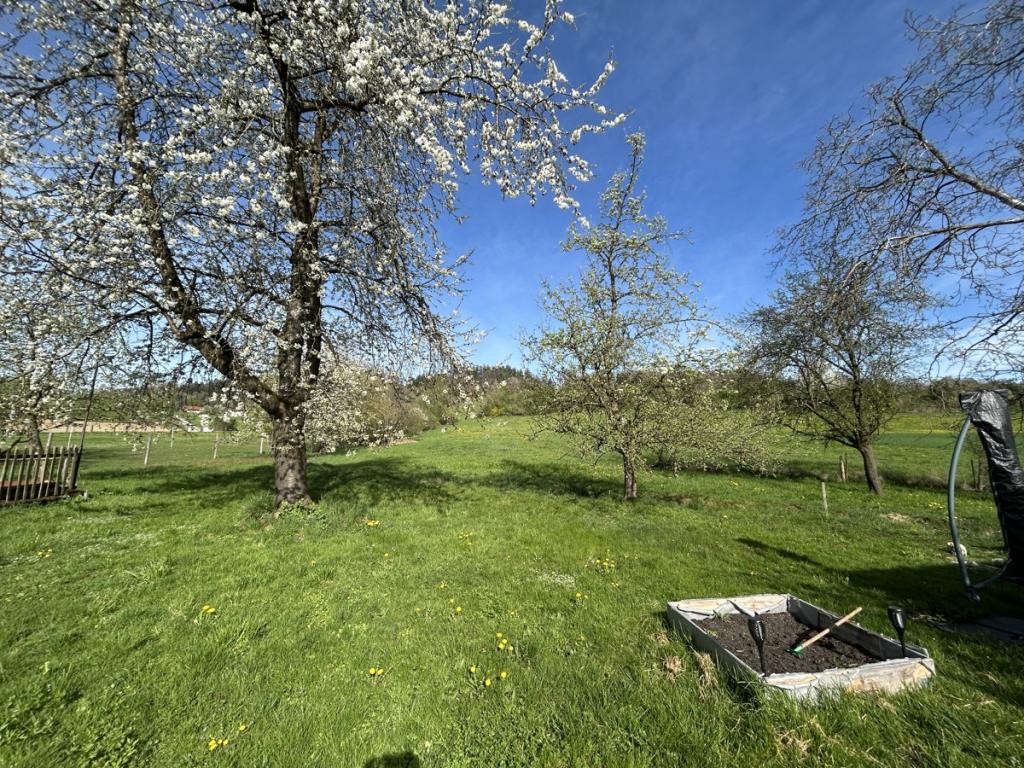 Garten und landwirtschaftliches Grundstück