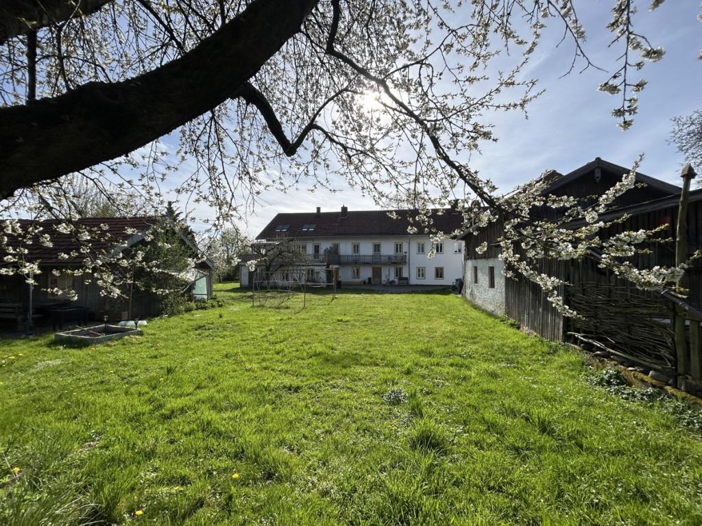 Blick vom Garten auf das Haus