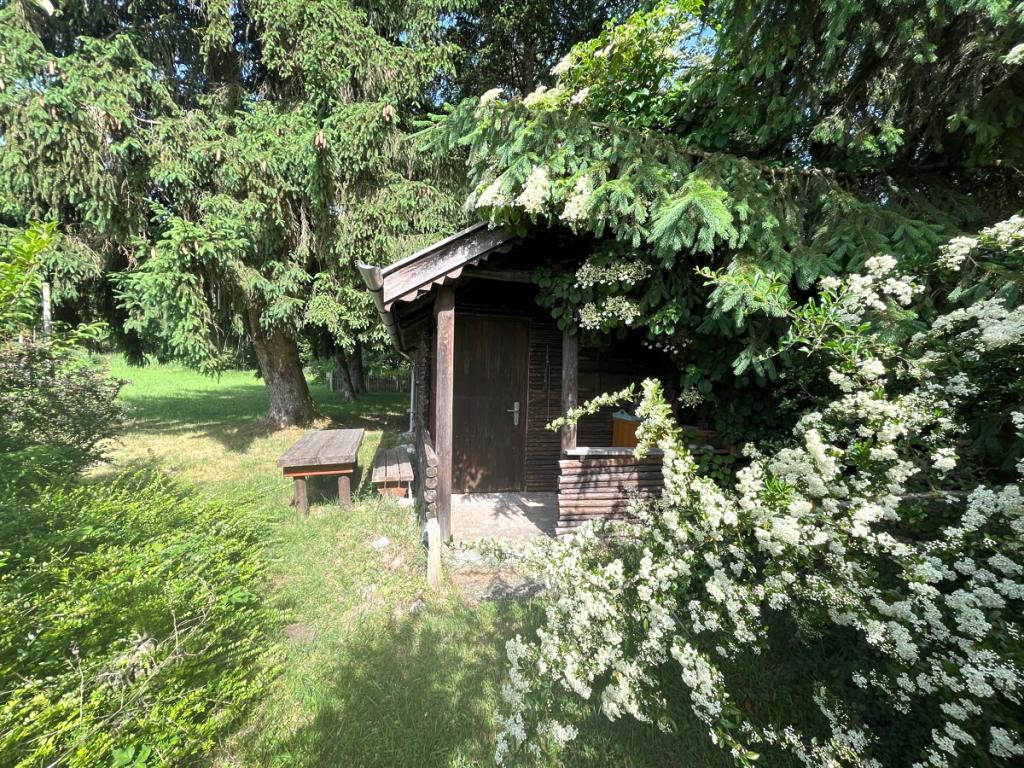 Gemütlich unter den Bäumen