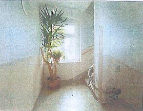 Zentrumsnahe Lage! 2-Raumwohnung - Photo 4
