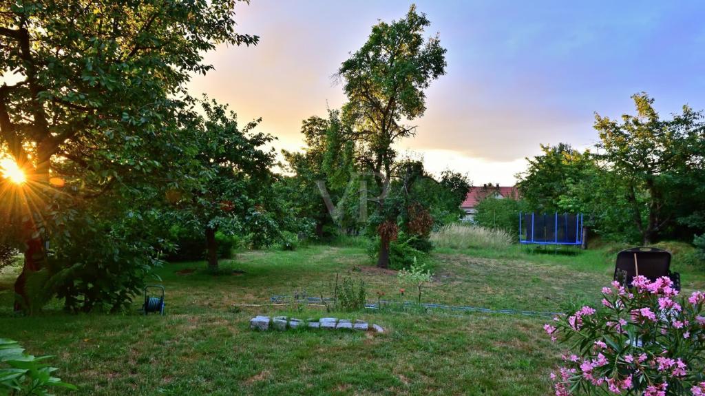 Außenansicht Garten