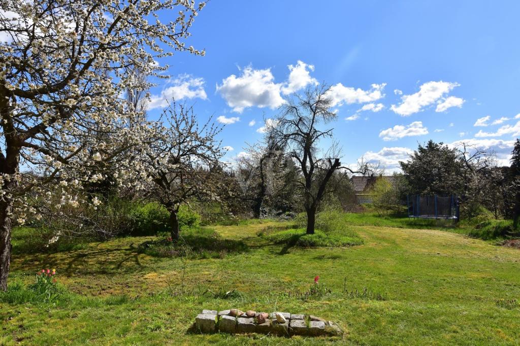 Außenansicht Garten