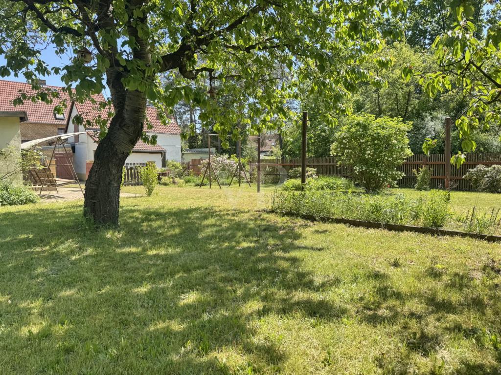 Außenbereich Garten