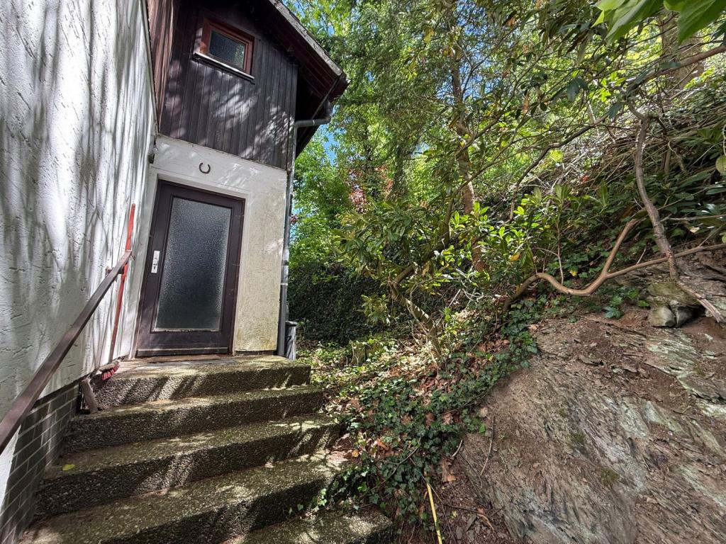 PHOTO-2025-05-27-12-01-42 7