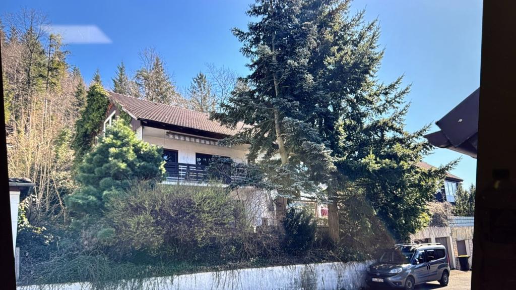 PHOTO-2025-05-26-22-53-51