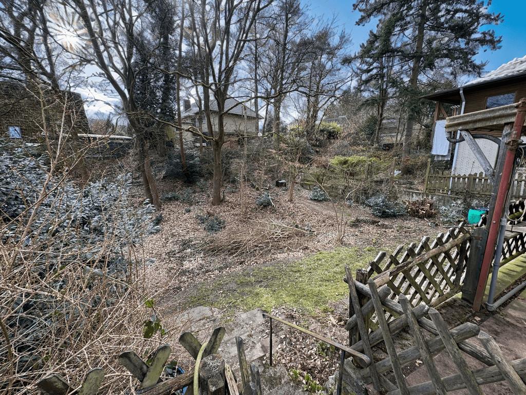 Blick in den Garten