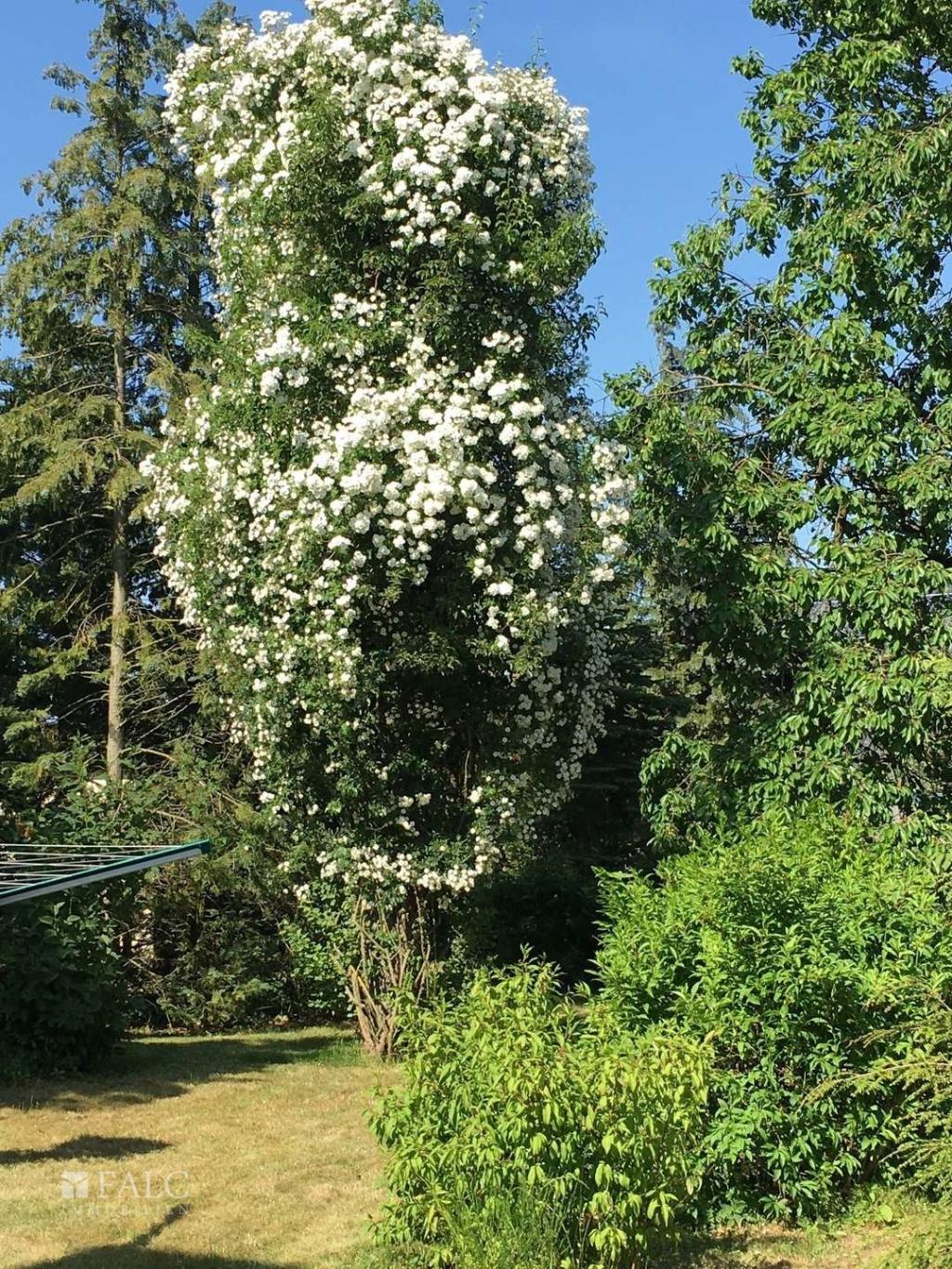 Außenansicht VIII