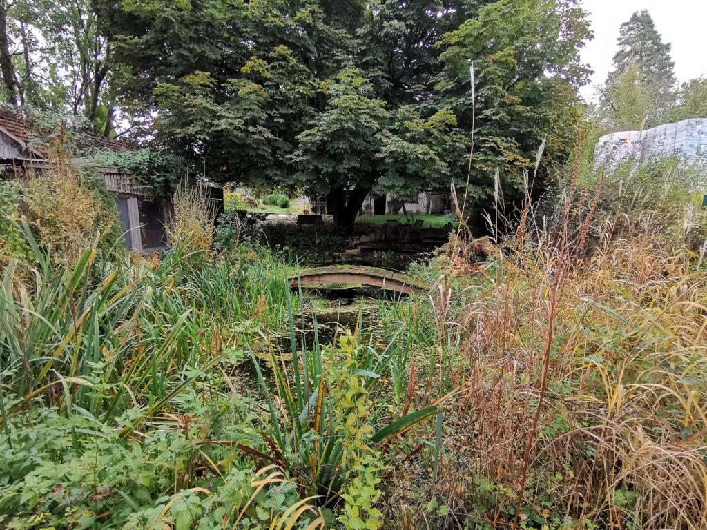 Gartengrundstück mit Teich