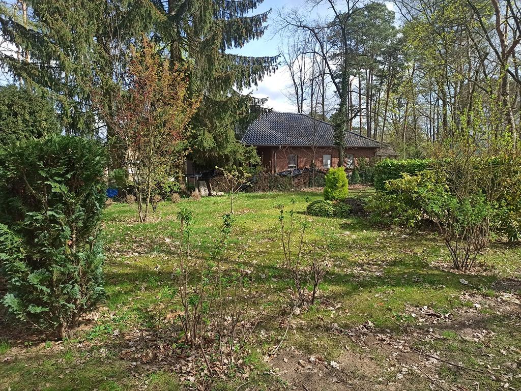 Nachbargrundstück Bungalow.jpg