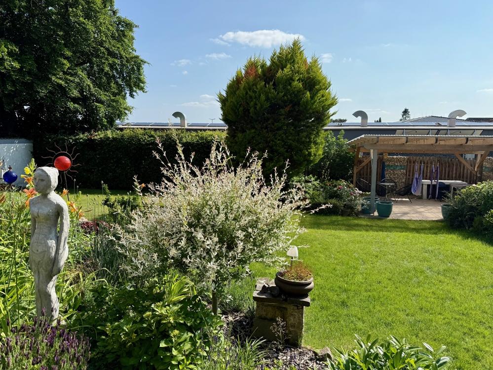 Blick in den Garten