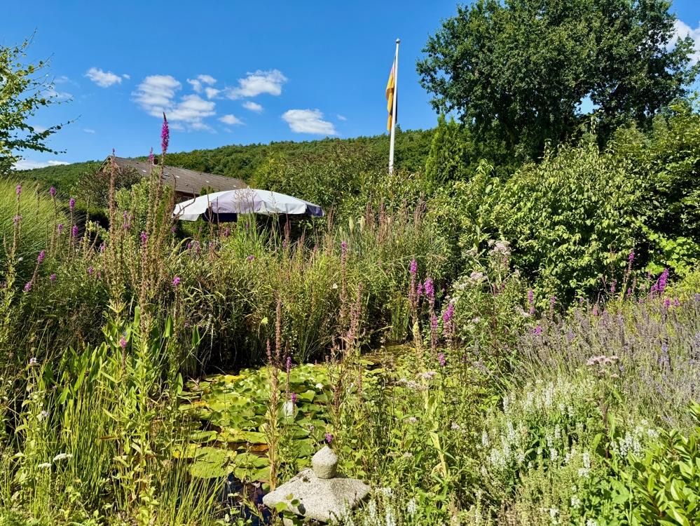 Gartenansicht