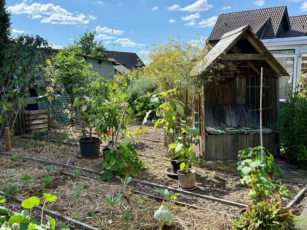 Gemüsegarten