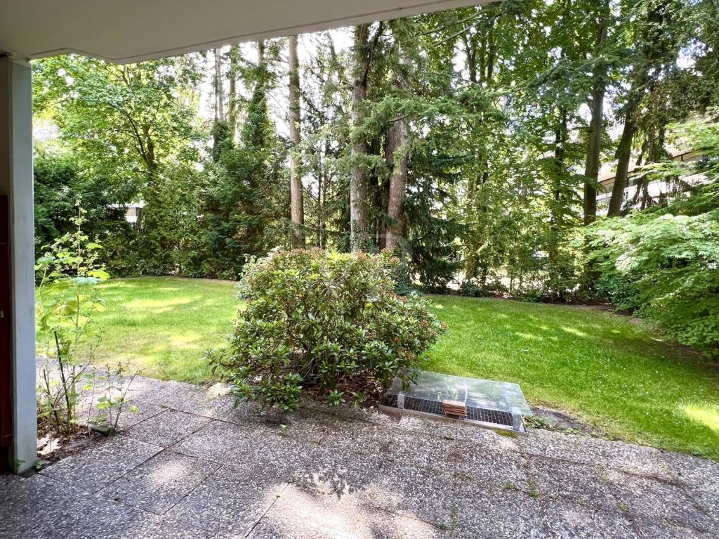 Blick auf Terrasse und Garten
