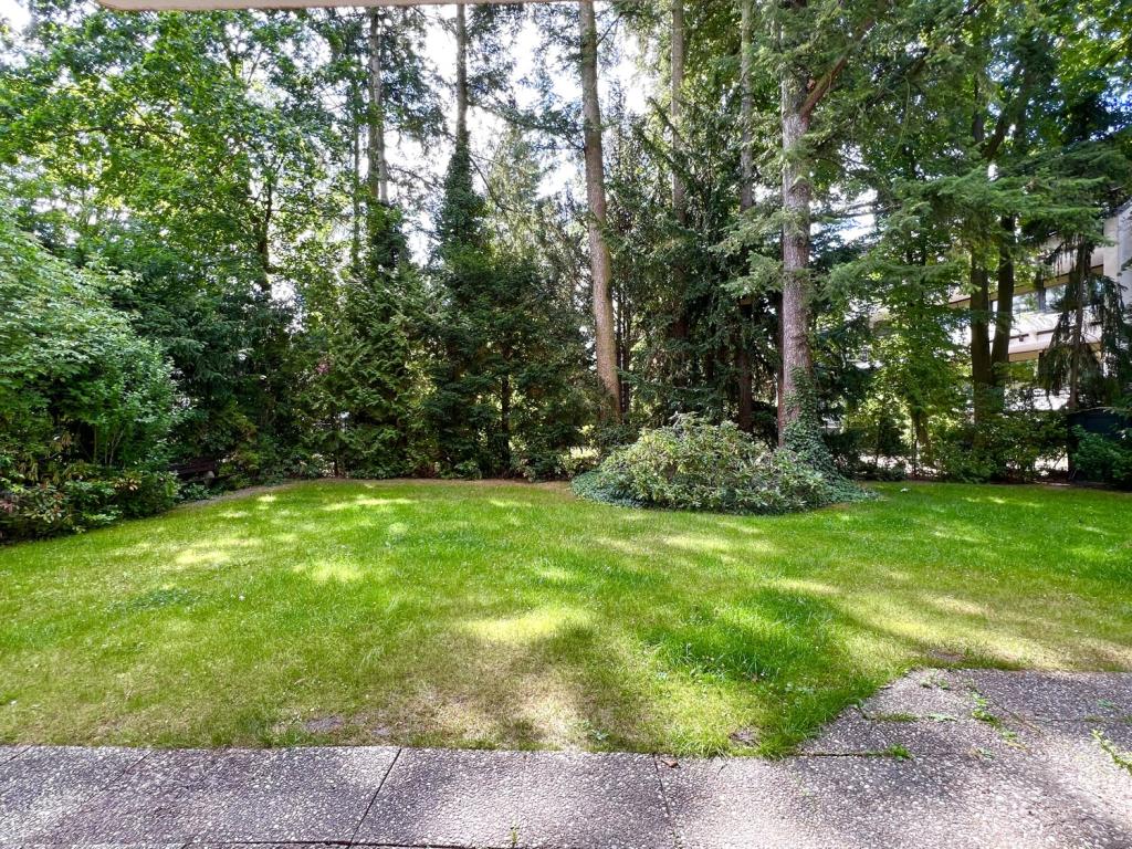 Blick in den Garten