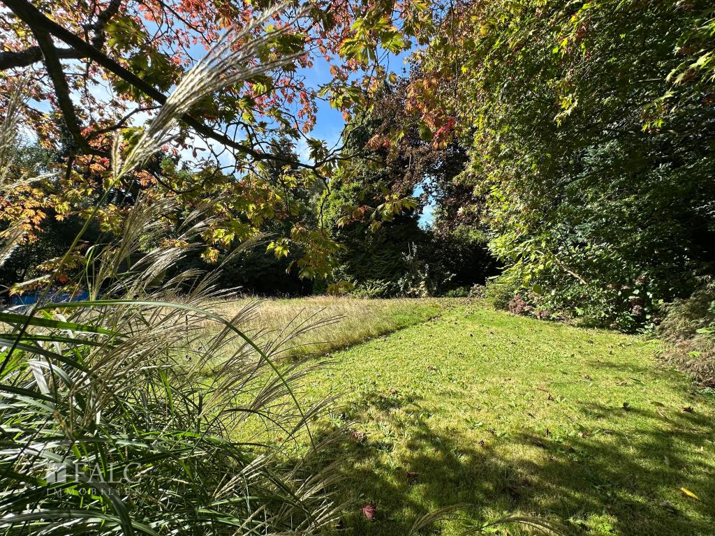 Gartenfläche