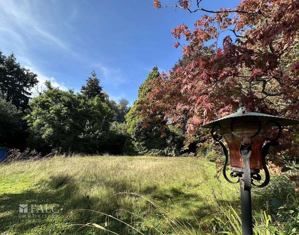 Gartenfläche