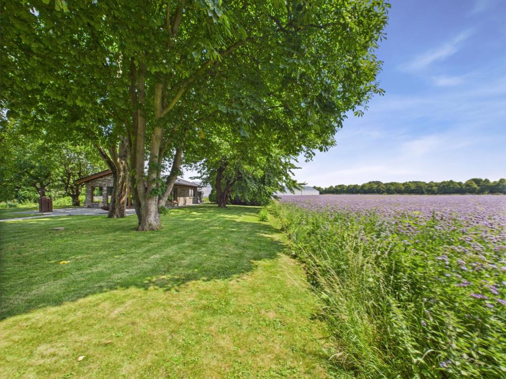 Garten mit unverbaubarem Blick