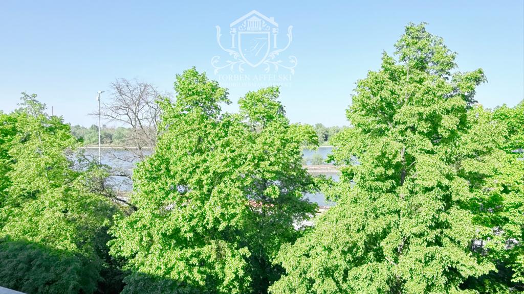 Rheinblick 