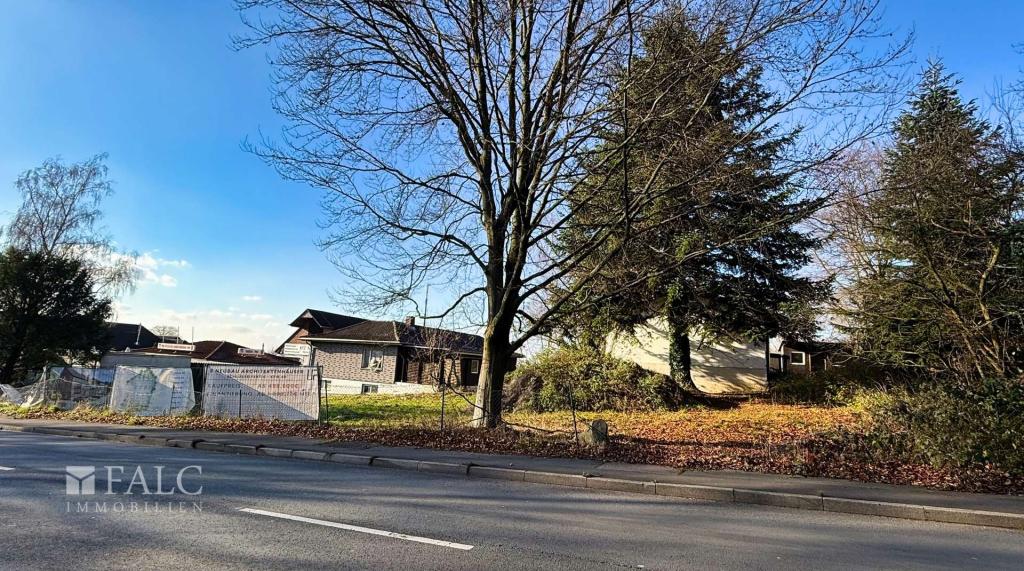 seitliche Vorderansicht