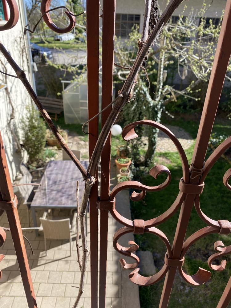 Ausblick Schlafzimmer