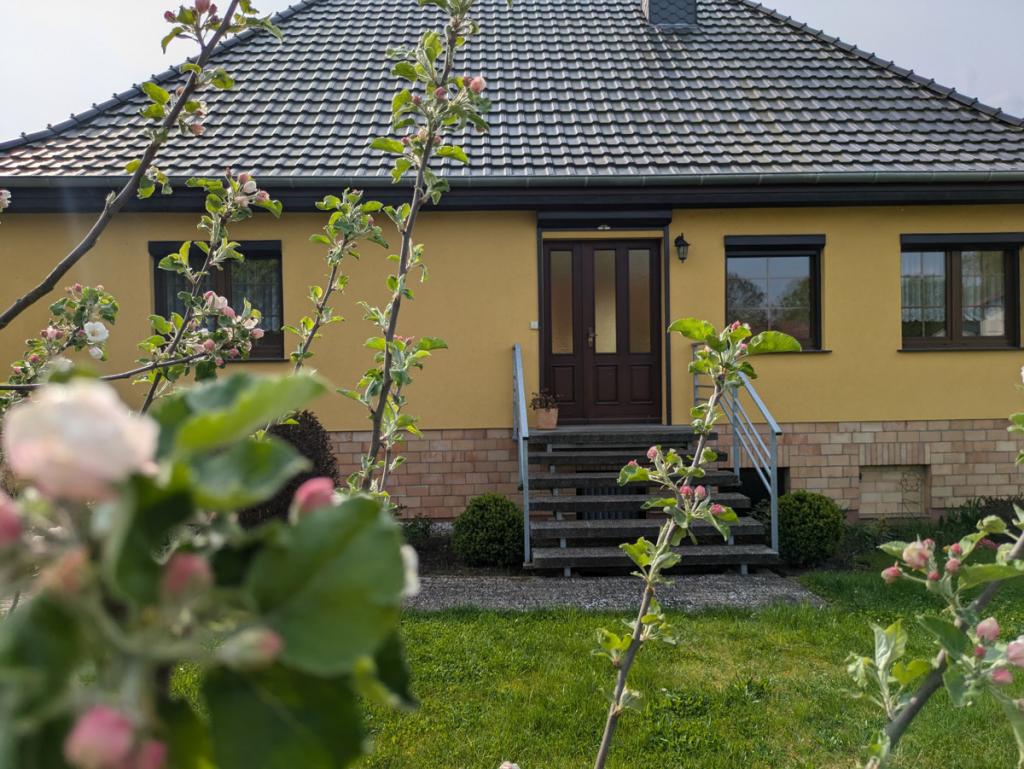 Vorderansicht