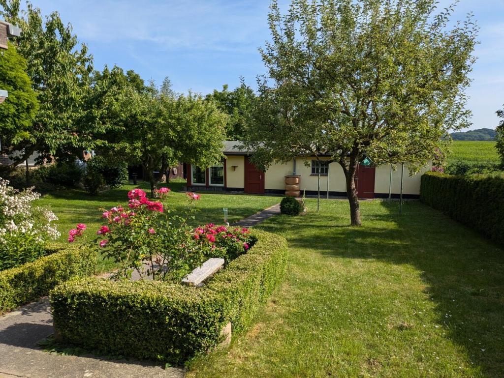 Garten mit Nebengebäude