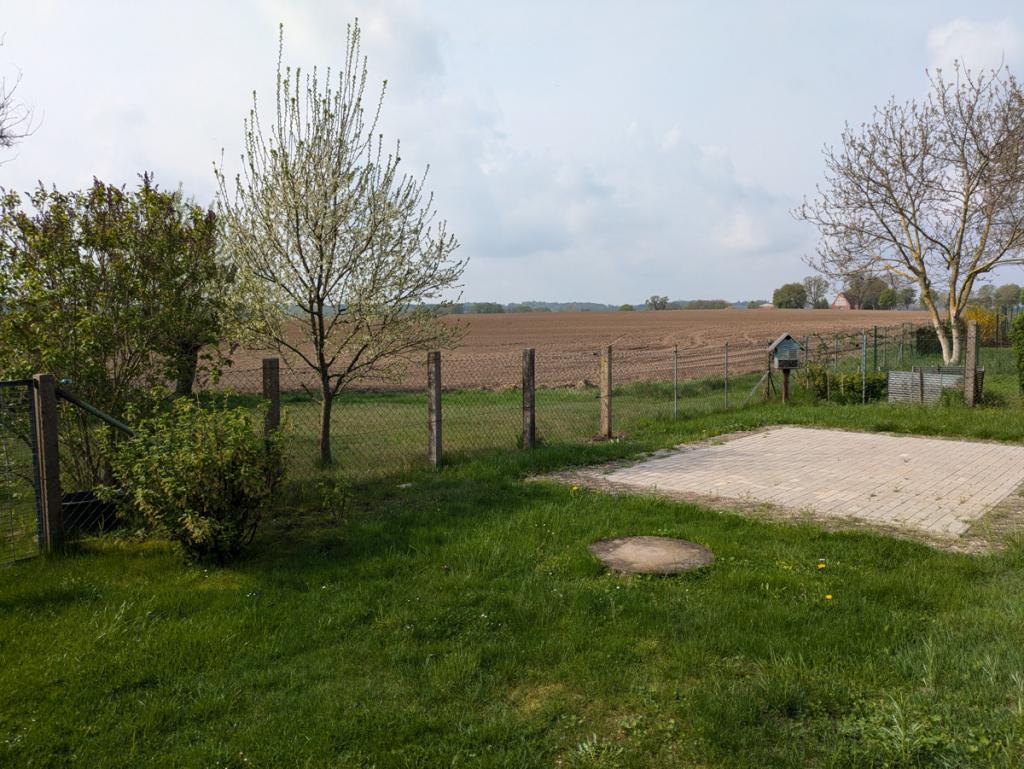 Ansicht zum Feld