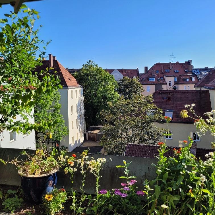 Ausblick vom Süd-West-Balkon.jpg