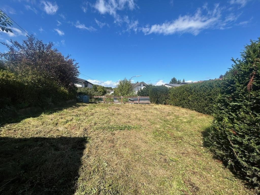 Garten hinter dem Haus