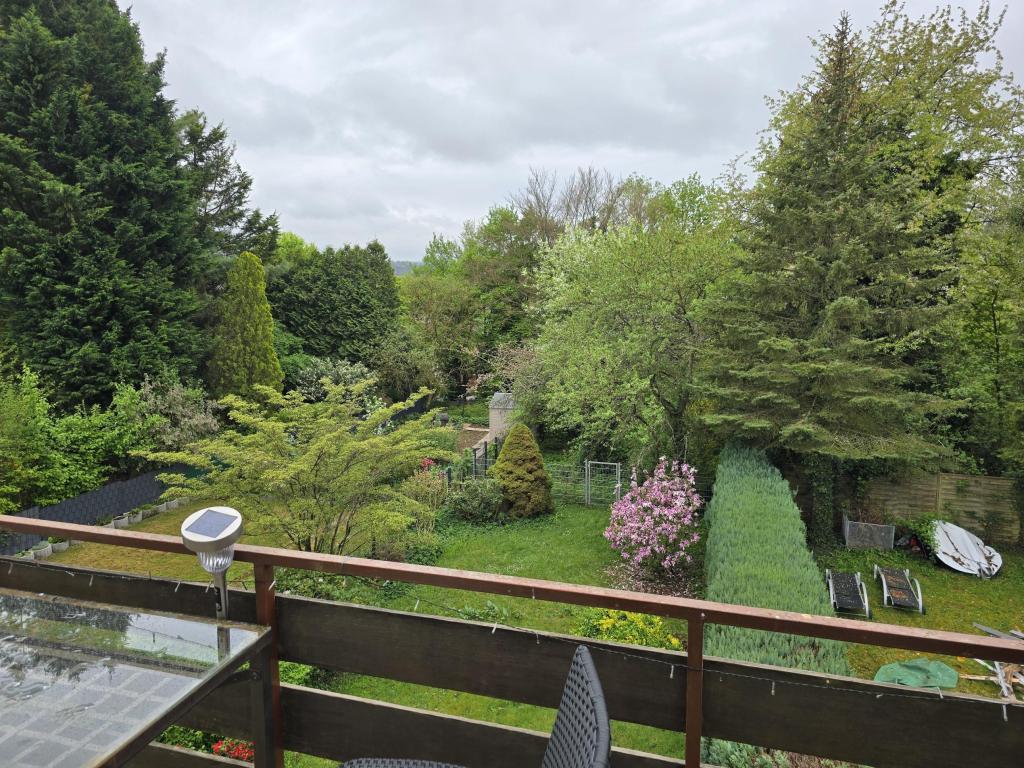 Blick in den Garten