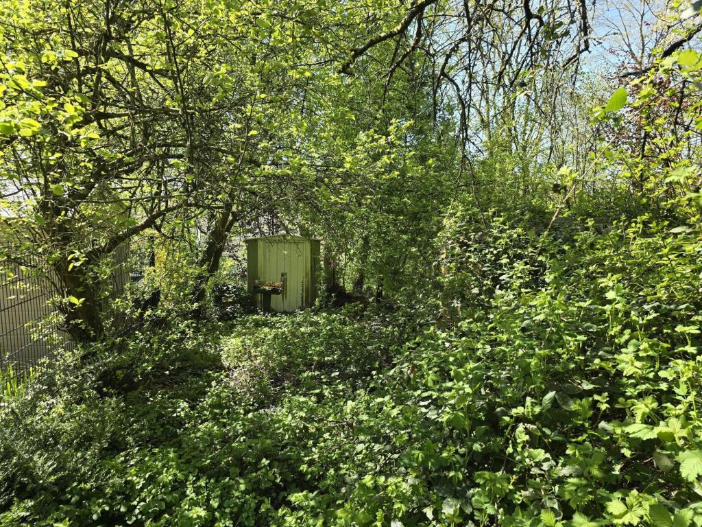 hinterer Garten