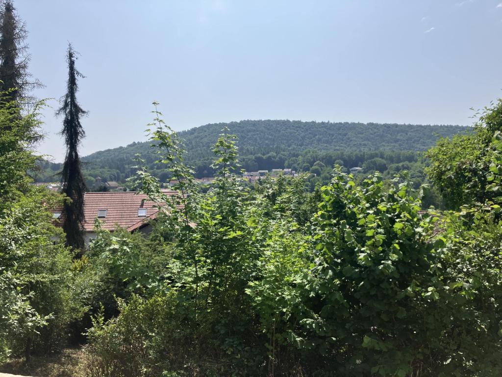 Aussicht