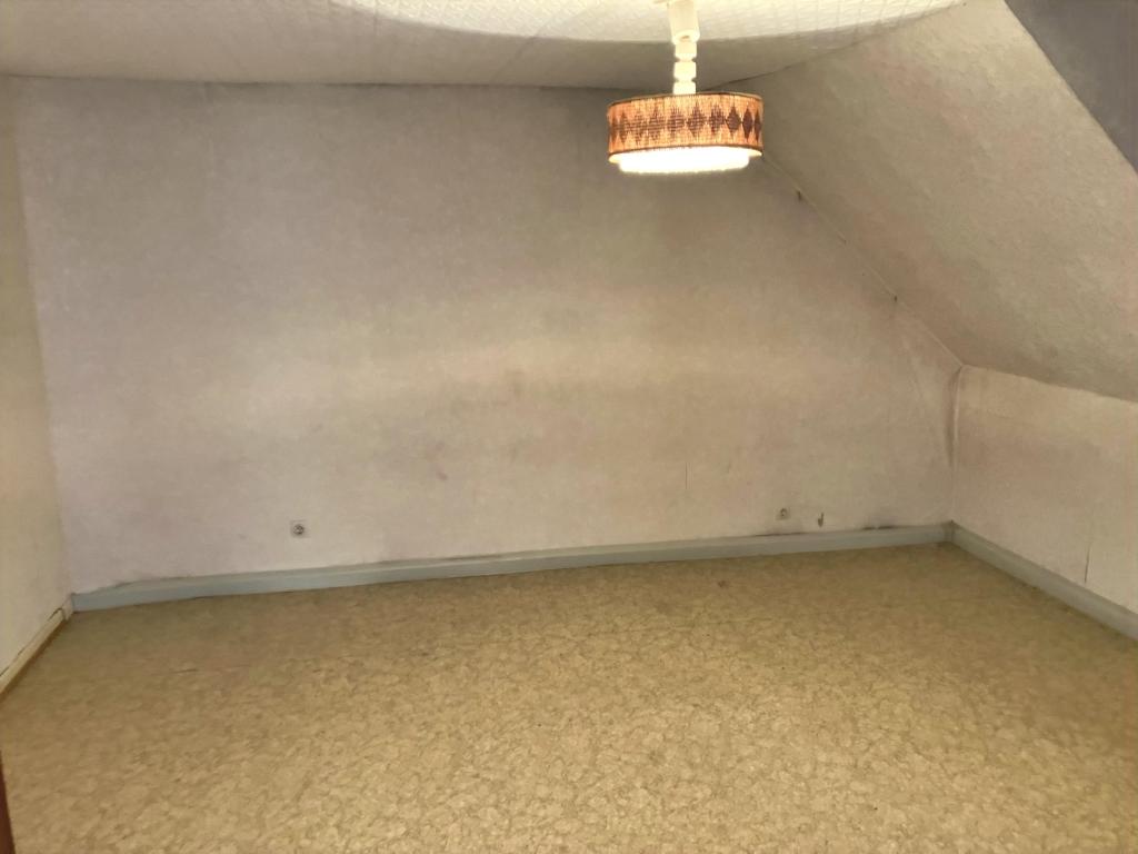 Zimmer DG