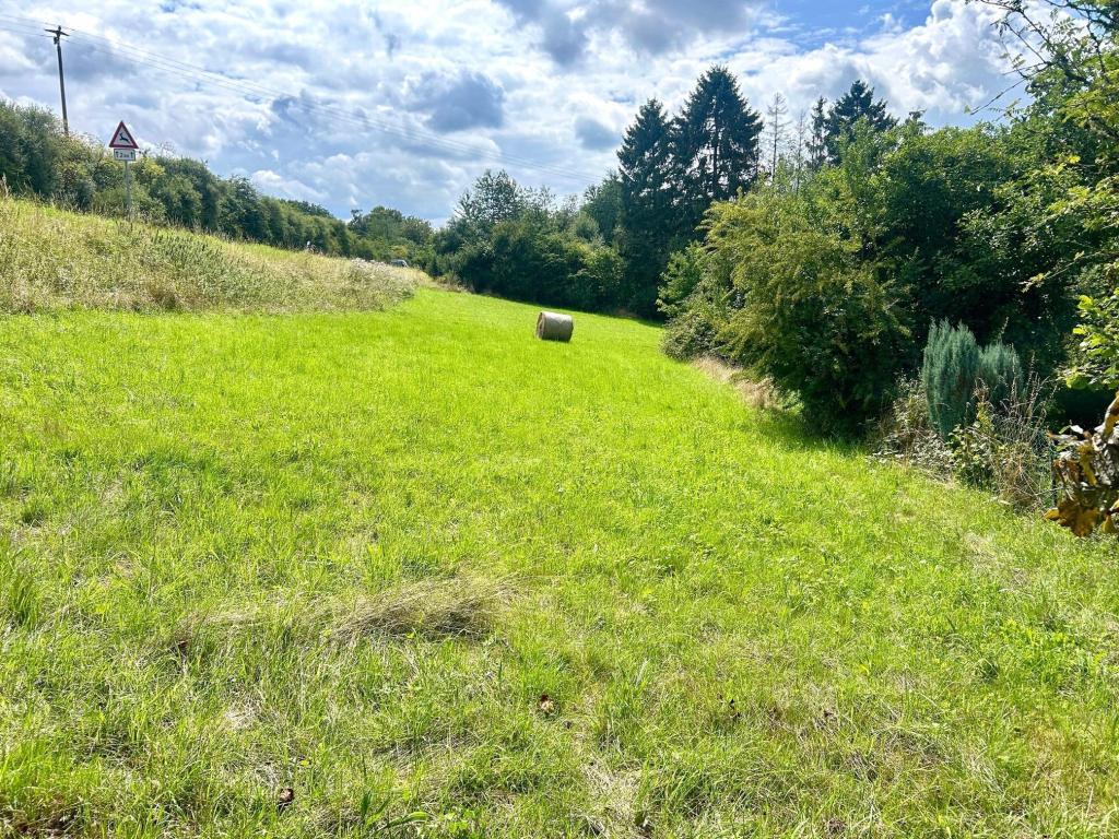 Wiesengrundstück