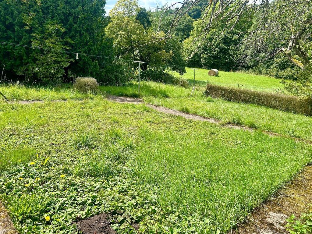 Garten Ansicht 2