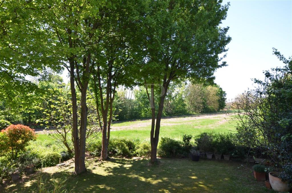 Blick in den Garten und auf das Vogelschutzgebiet