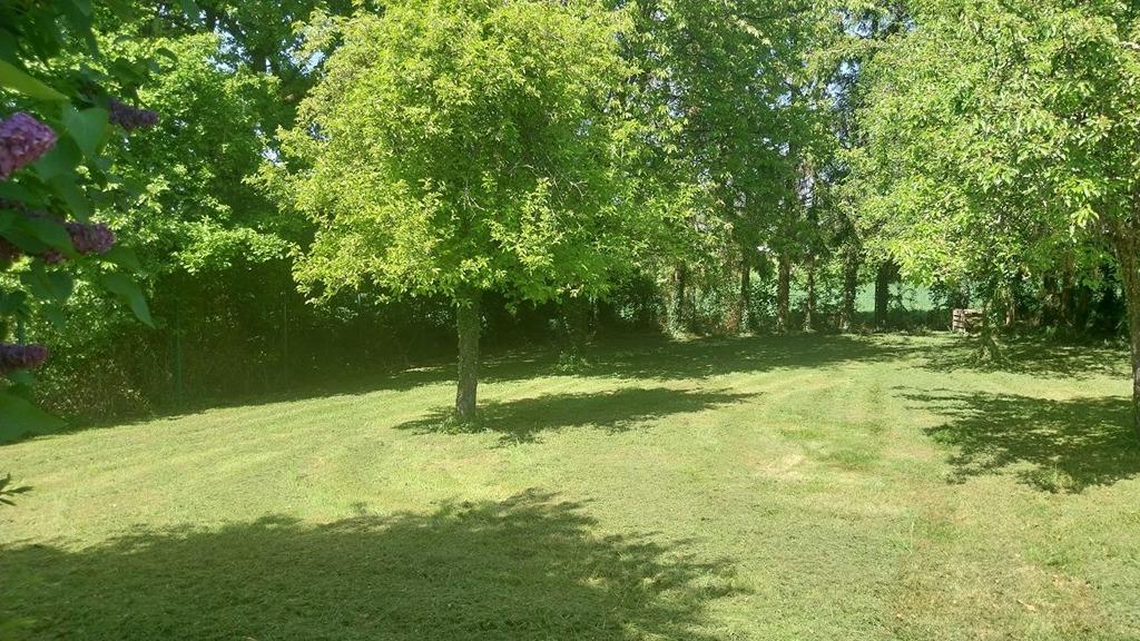 20250502_134318.jpg