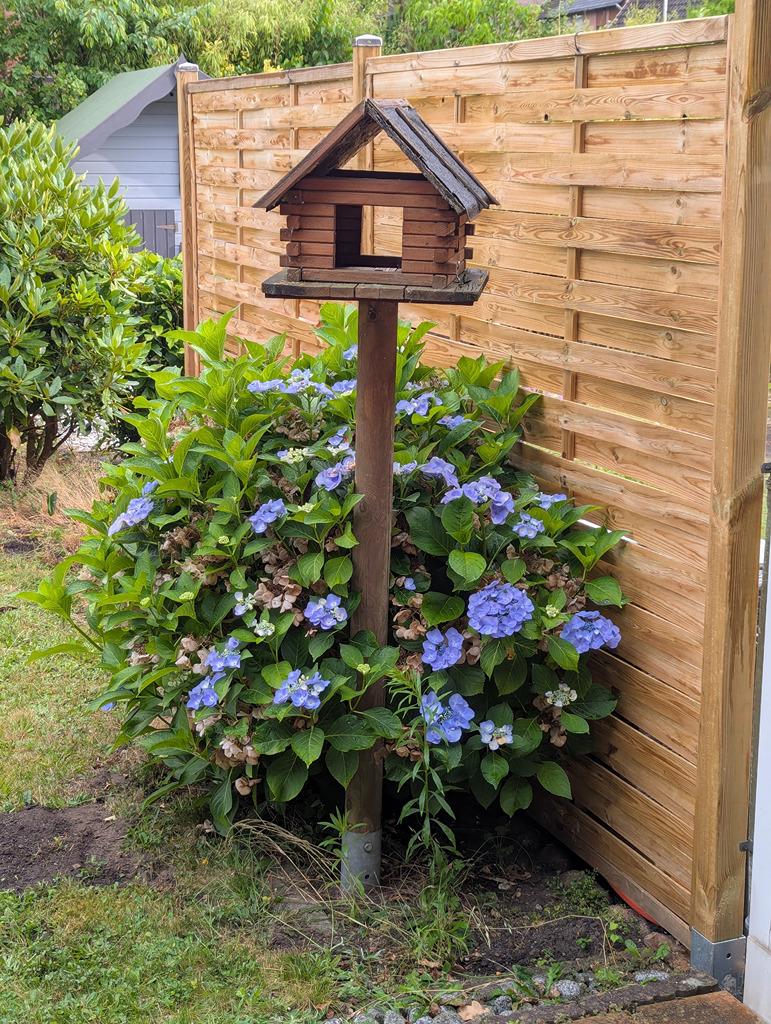 19 - Garten - 1.8.jpg