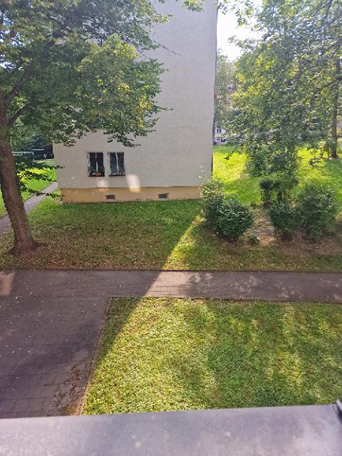 Hofblick.jpg