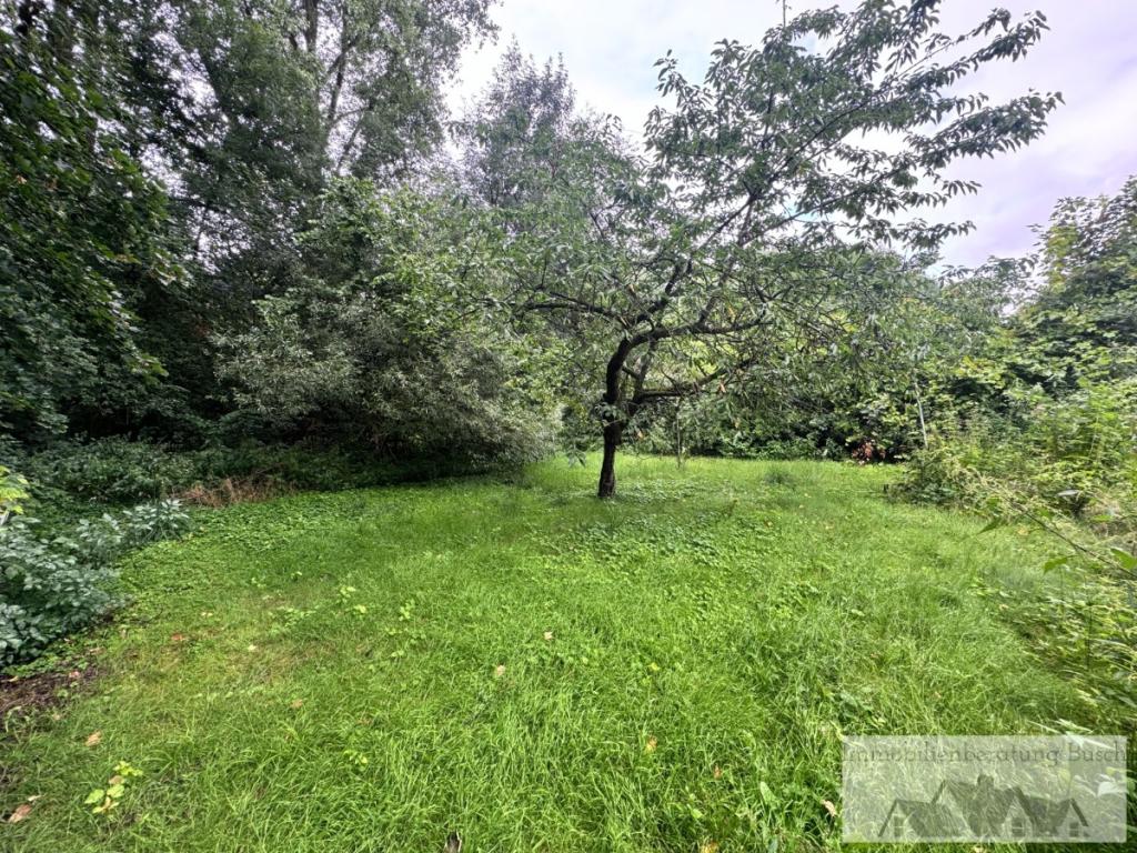 hinterer Grundstücksteil / Garten