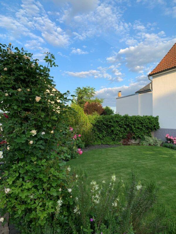 Blick in den Garten