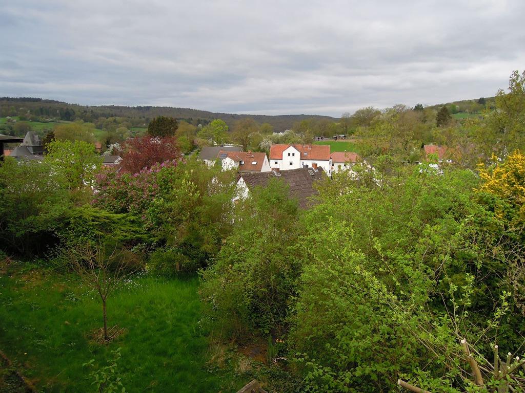 blick vom balkon nach westen.jpg