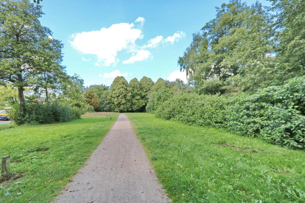Grünland im Umfeld