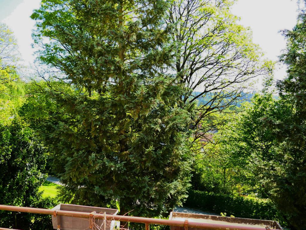 Aussicht Balkon