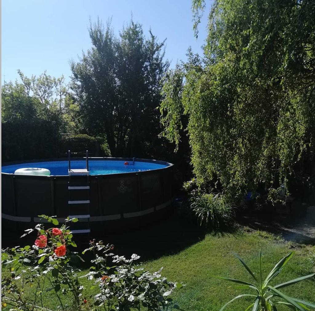 5 m Durchmesser Pool im Sommer.jpg