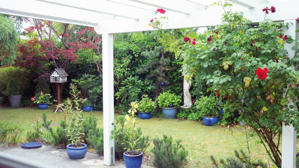 Blick in den Garten