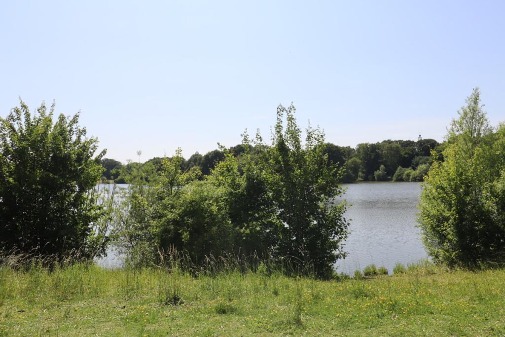 Schillerteich
