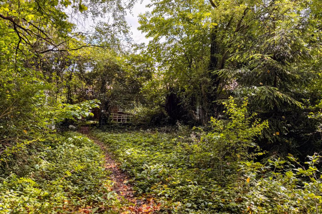 Garten    