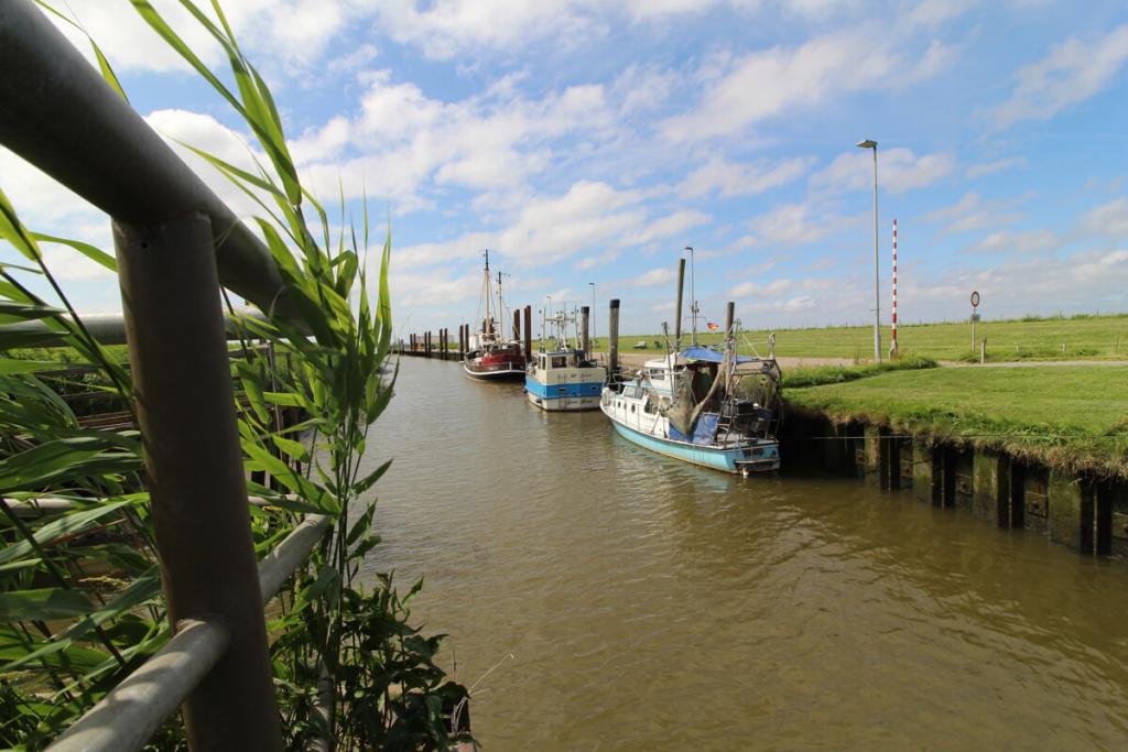 Kutterhafen